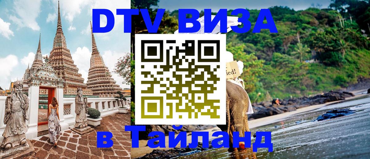 Сколько стоит DTV виза — актуальные цены, оформление даже без документов - Щёлково 